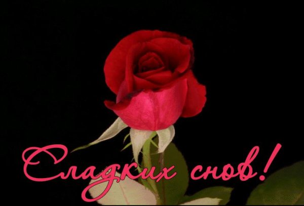 Спокойной ночи девушке цветы