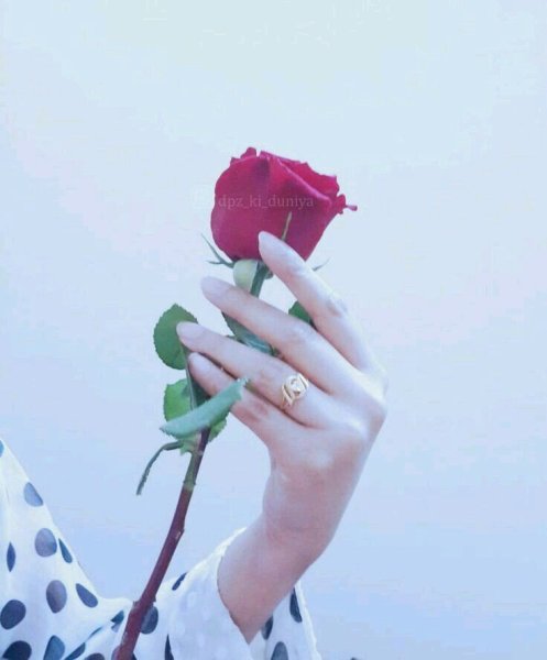 Парикмахерская цветок