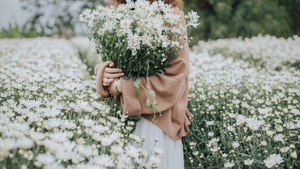 Лето девушка со спины