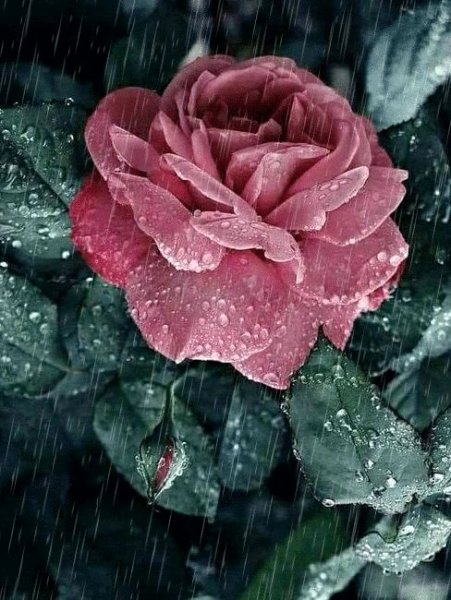 Весна уходит