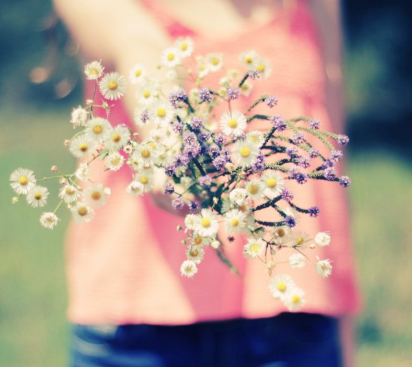 Темы для Windows 7