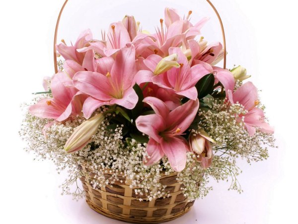 С днём рождения лилии