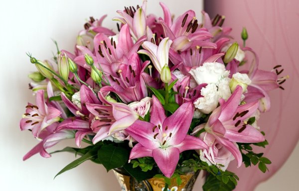 Шикарный букет лилий