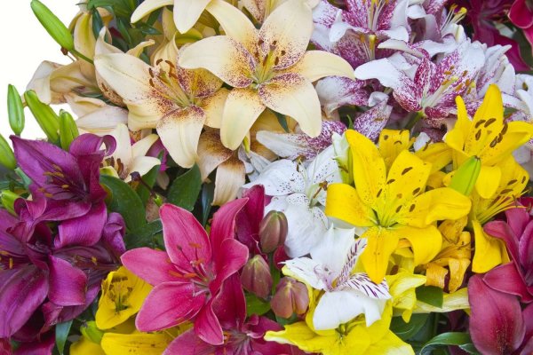 С днём рождения лилии