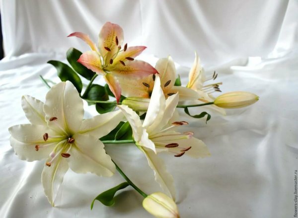 С днём рождения лилии