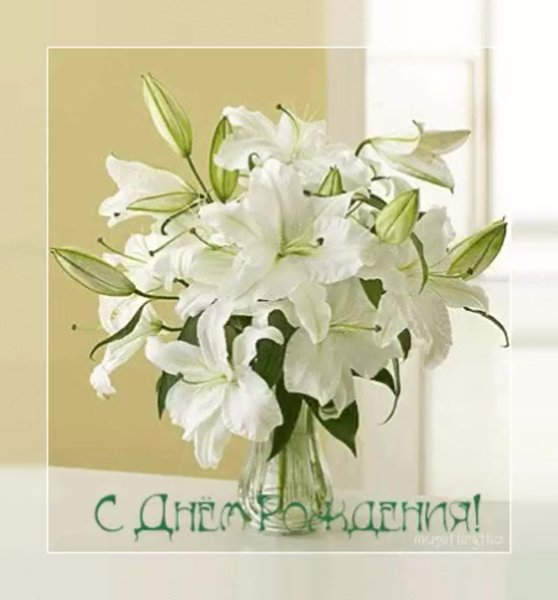 Лилия Эмпресс