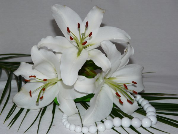 Букет лилии для лилии
