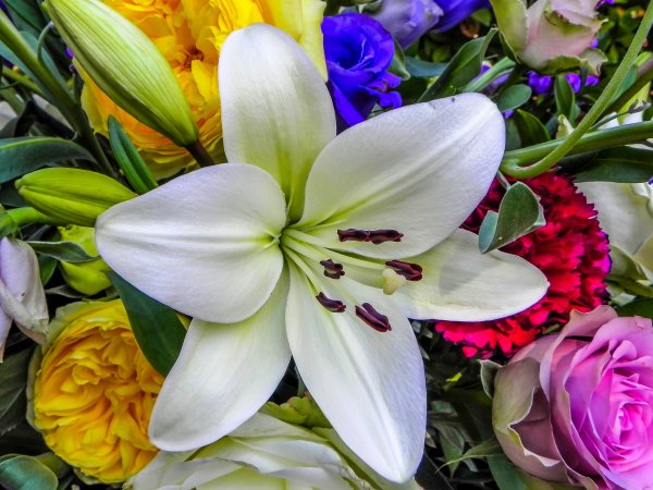 Лилии букет шикарный