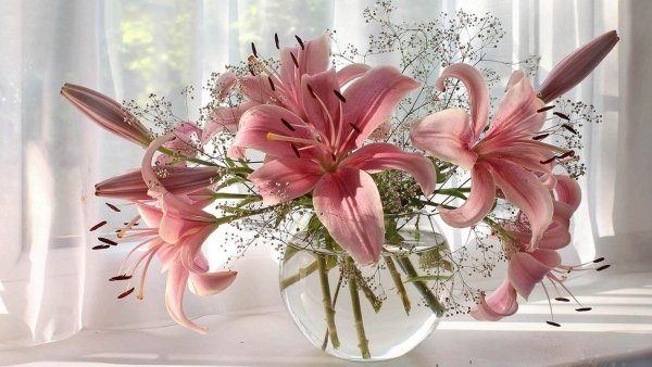 Букет лилий для любимой