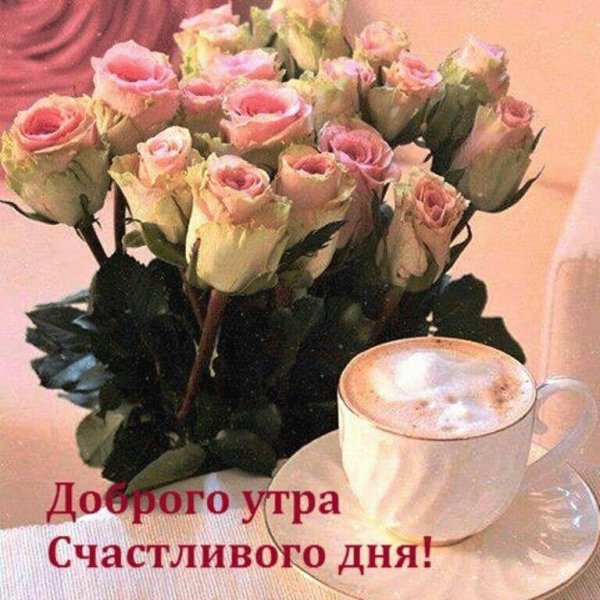 Доброе утро розовые розы