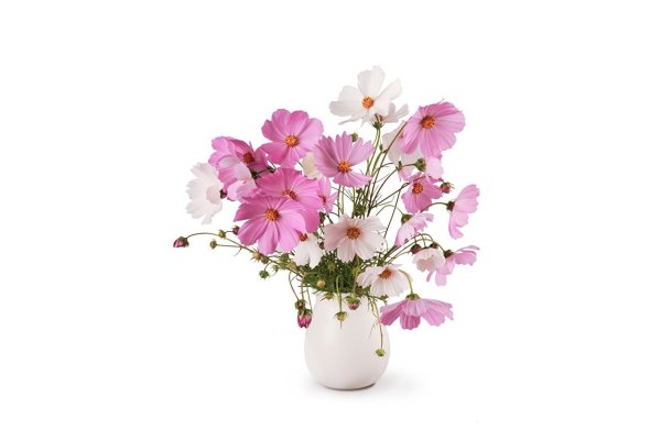 Открытки с цветами