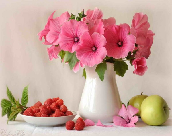 Цветы долгостоящие