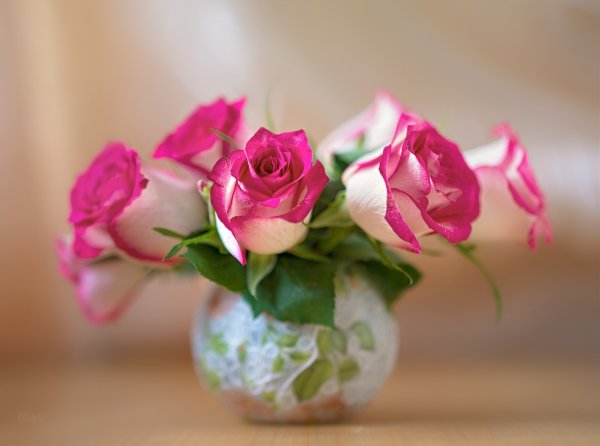 Цветы в вазе