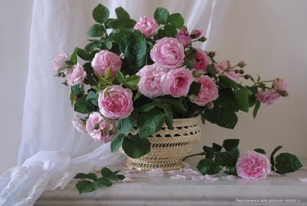 Цветы в вазе