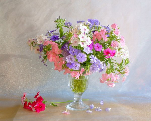 Елизавета Яшина нежные пионы