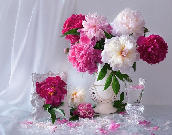 Роскошные яркие цветы