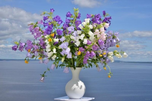 Моя любимая подруга с днем рождения нежные