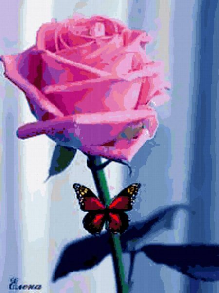 Цветочки для Зины