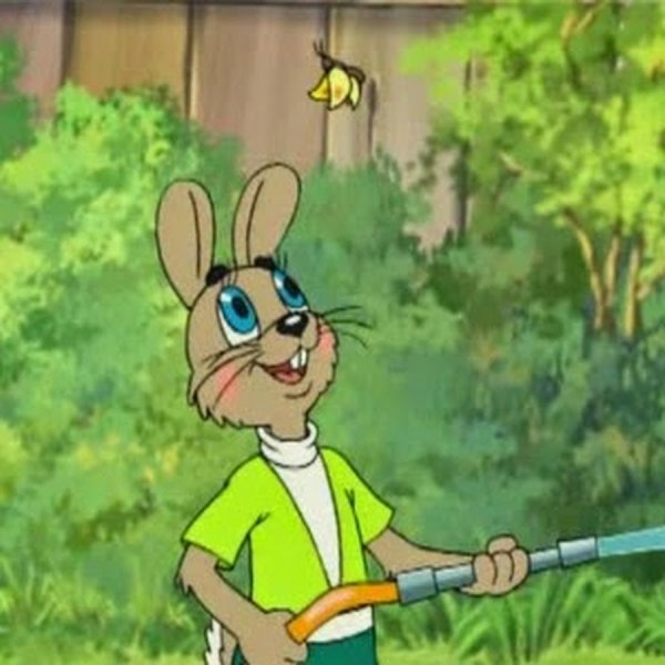 Ну погоди волк в костюме