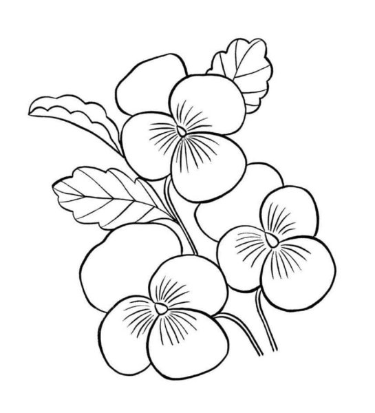 Цветок для раскрашивания детям