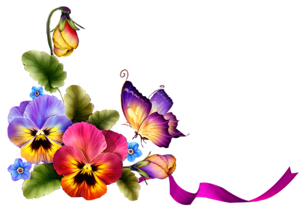 Анютины глазки