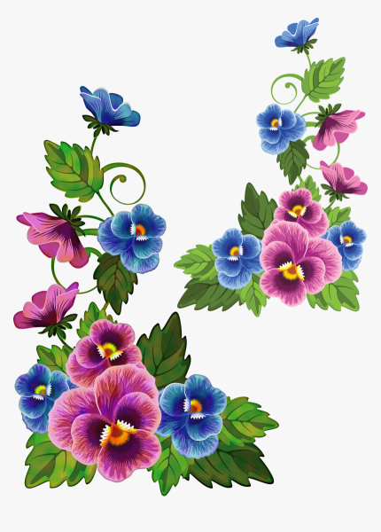 Анютины глазки розовые