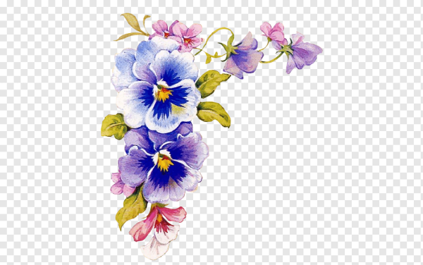 Яркие цветы на прозрачном фоне