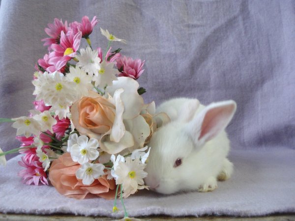 С днём рождения Настенька