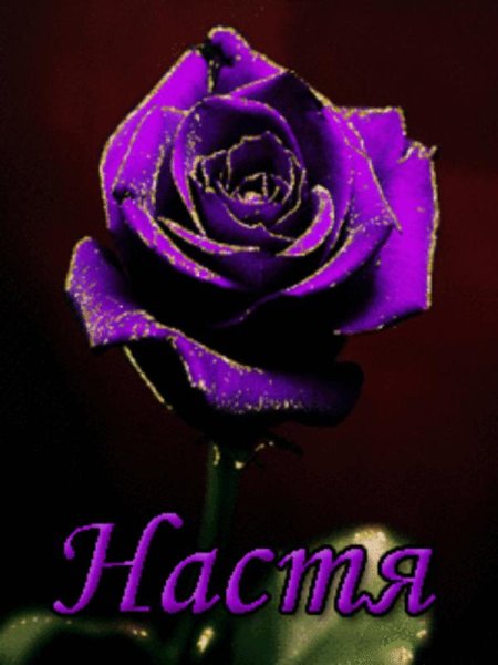 Розы для Насти