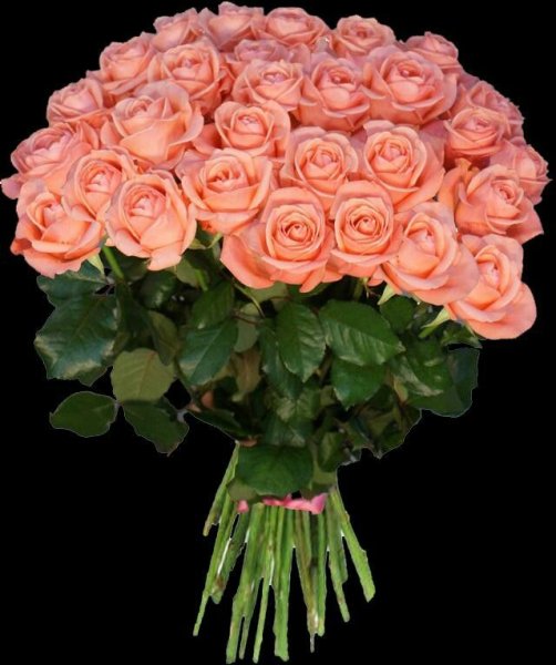 С днем рождения