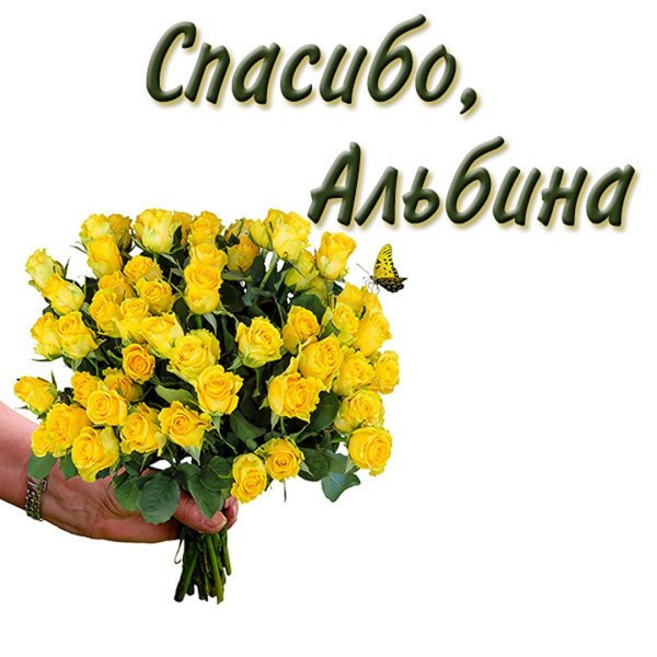 Спасибо Альбина