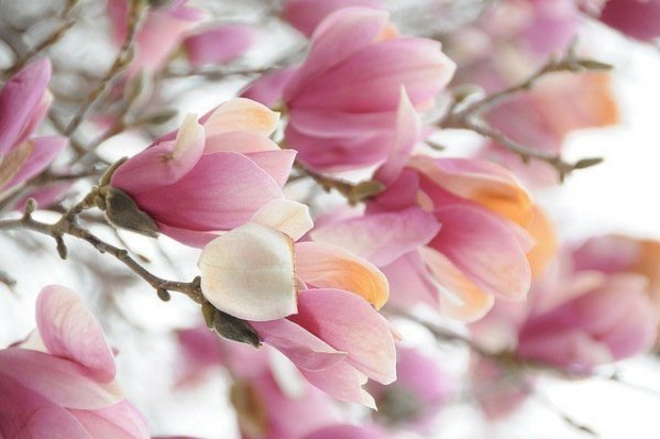 С днём рождения Настенька