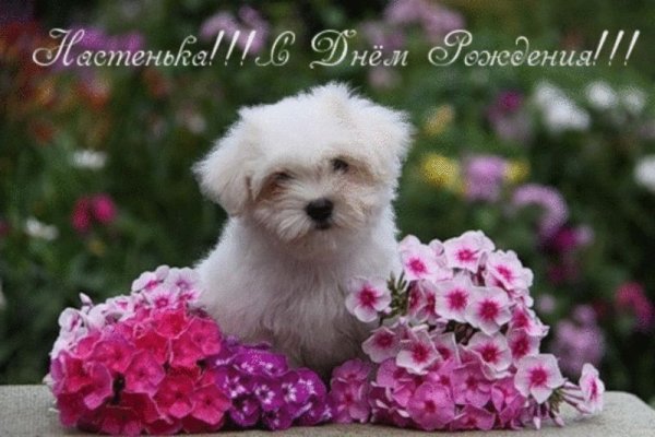 С днём рождения Настя