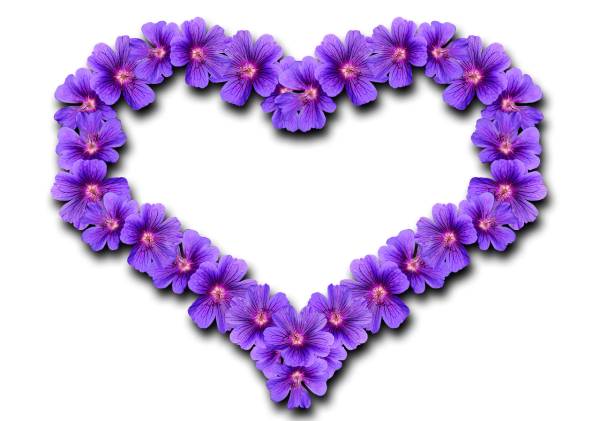 Сиреневое сердце