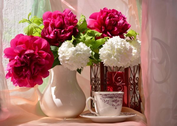 Букет пионов с добрым утром