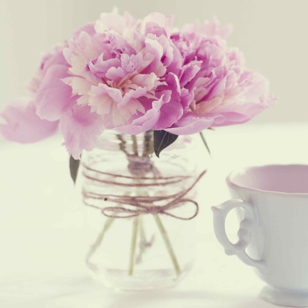 Прекрасного дня пионы