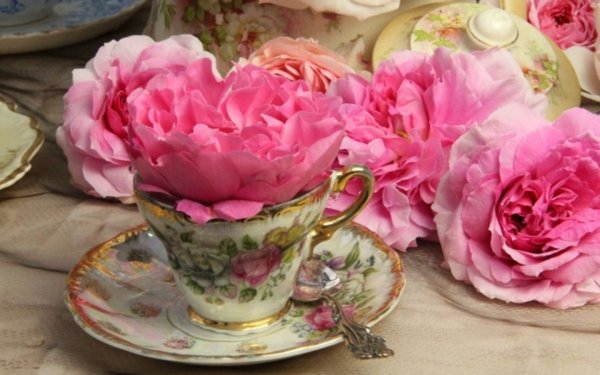 Пионы для настроения