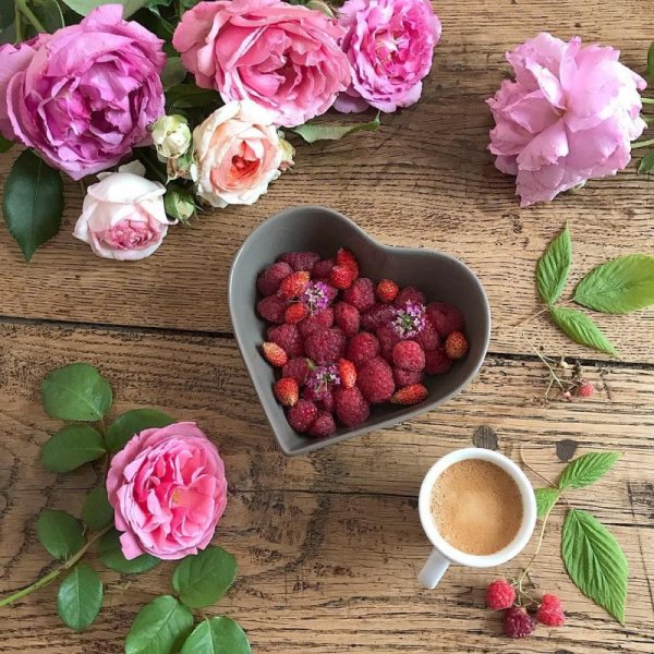 Доброе утро пионы