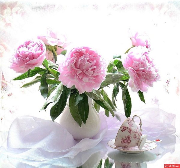 Букет пионов с добрым утром
