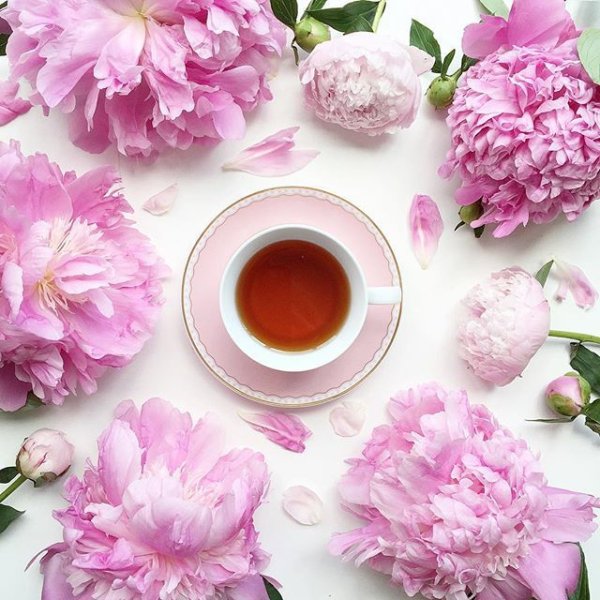 Открытки с добрым утром с розами