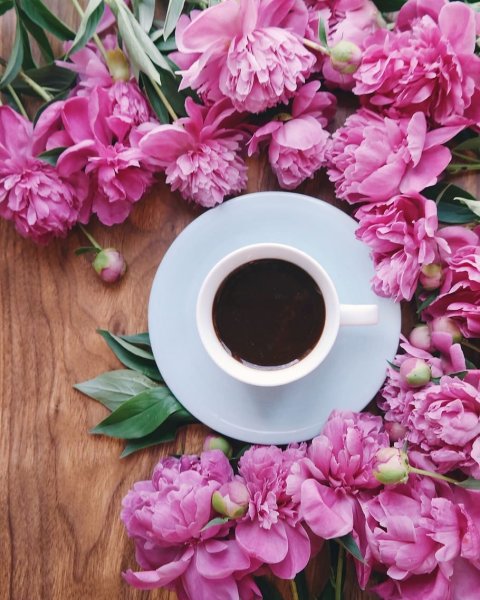 Нежный букет в чашке