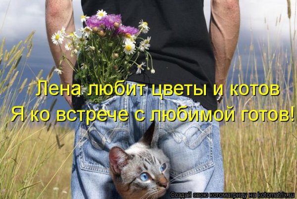 Юмор про цветы в картинках с надписями