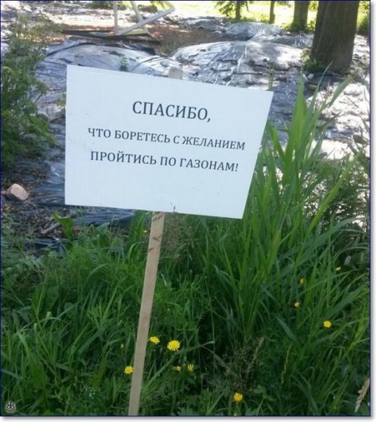 Таблички в Ботаническом саду