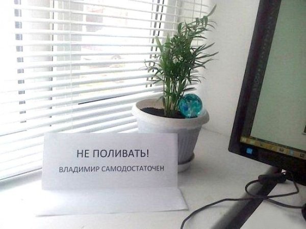 Цветы не поливать табличка