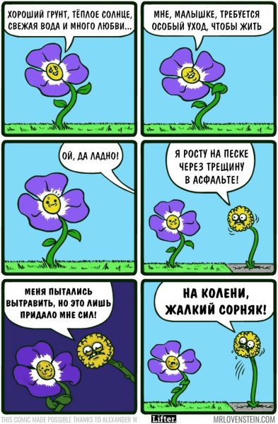 Комикс про цветы