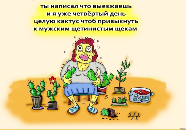 Шутки про Кактус