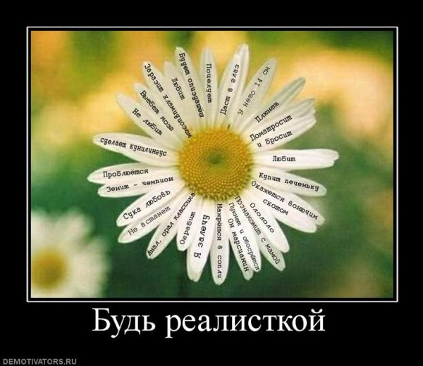 Ромашка прикол