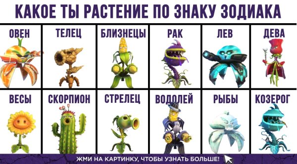 Юмор про цветы и растения