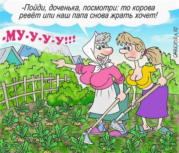 Огород юмор