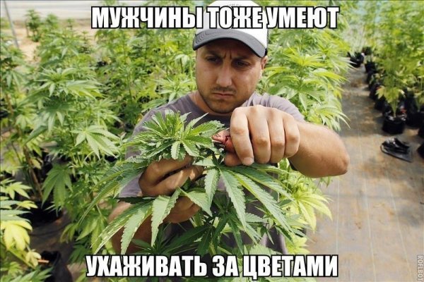 Смешная конопля